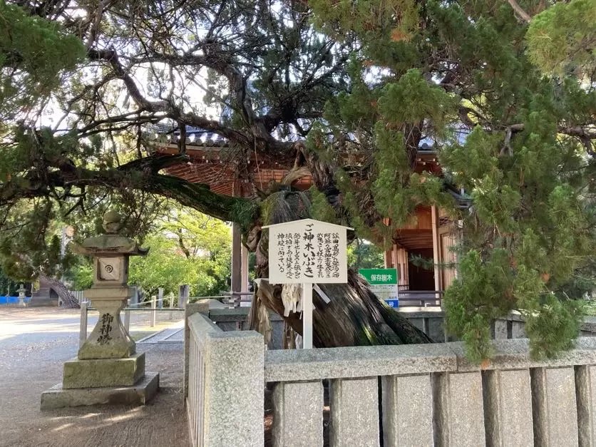 ⛩️ 다카사고 신사 (타카사고진자) 이미지 6